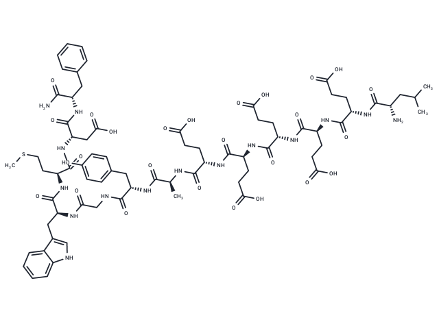 Mini Gastrin I, human