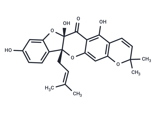 Sanggenon A