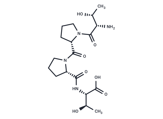 NT 13