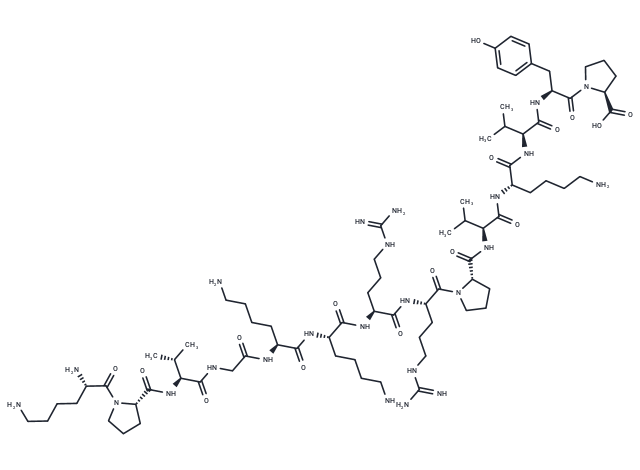 ACTH (11-24)