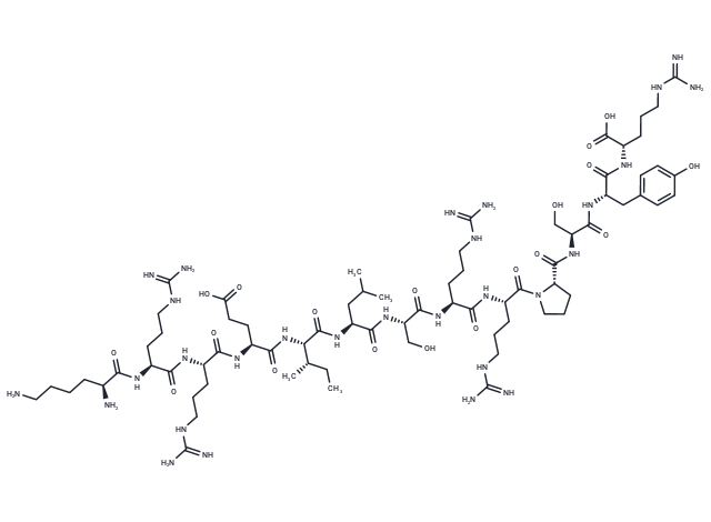 CREBtide