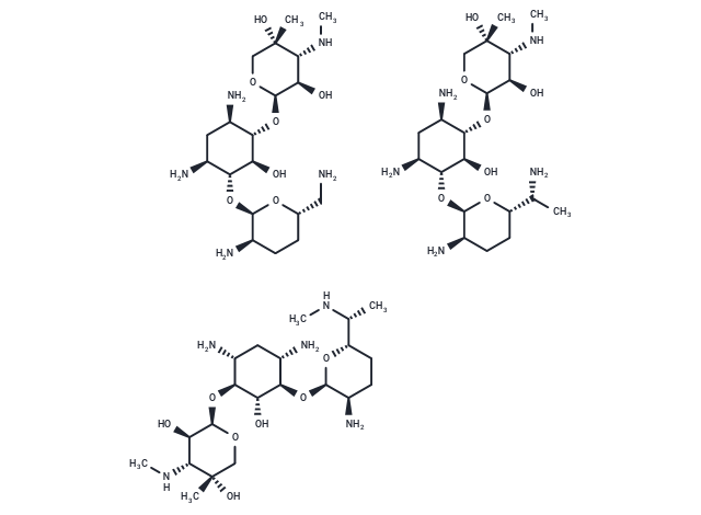 Gentamicin