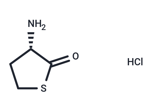 L-Homocysteine thiolactone hydrochloride