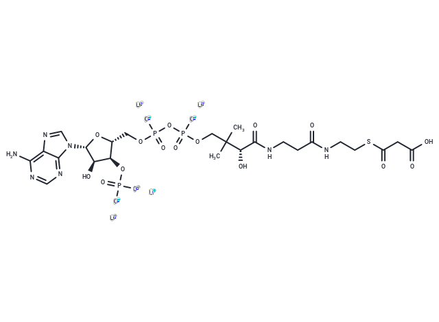 Malonyl CoA tetralithium