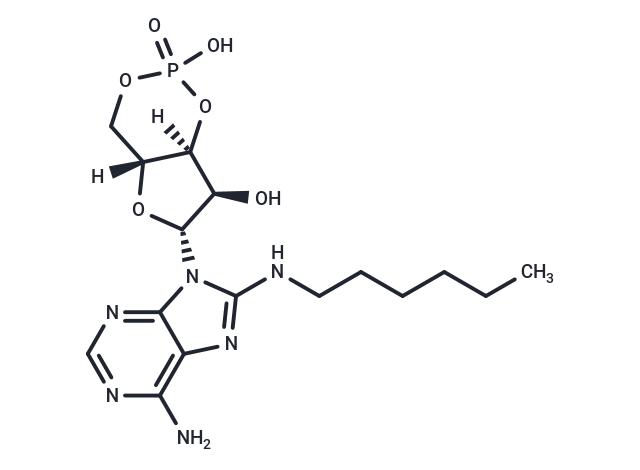 8-HA-cAMP
