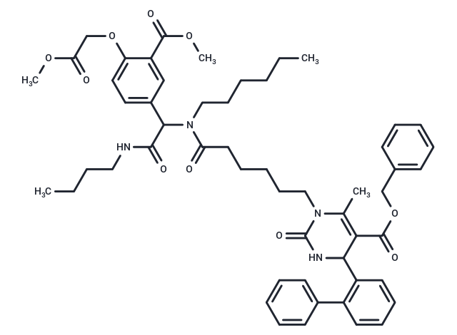 DMT003096