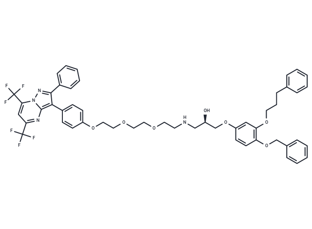 PHTPP-1304