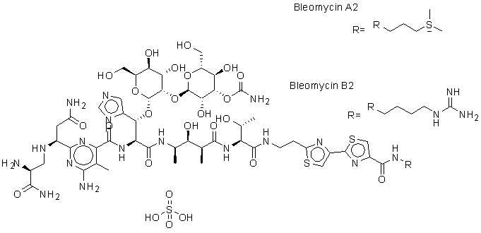 Bleomycin Sulfate