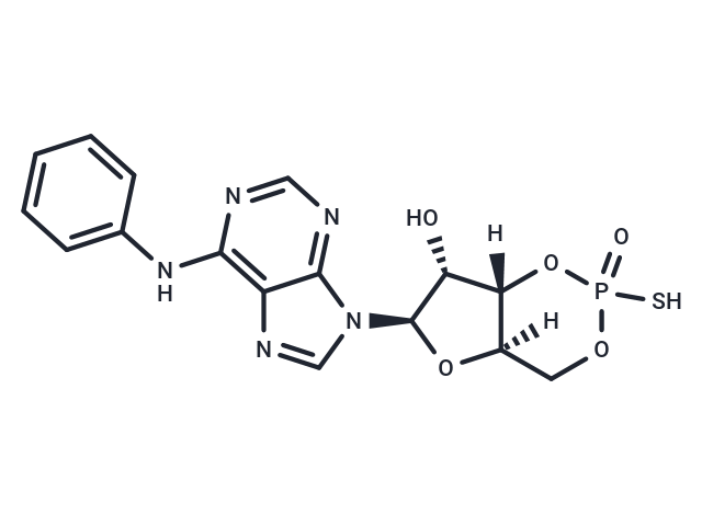 Sp-6-Phe-cAMPS