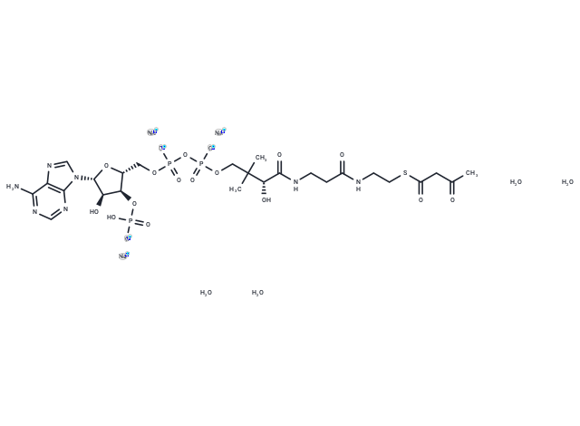 Acetoacetyl Coenzyme A sodium hydrate