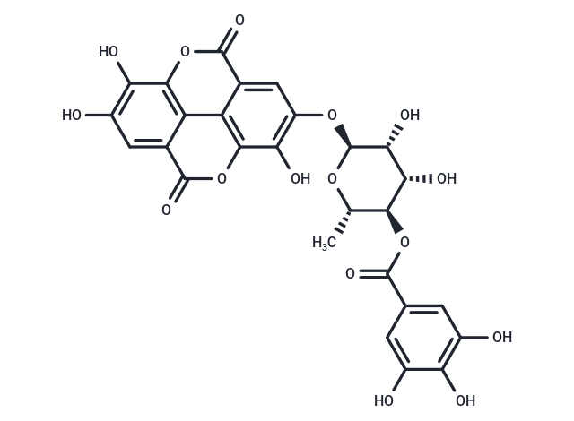 SARS-CoV-2 Mpro-IN-22