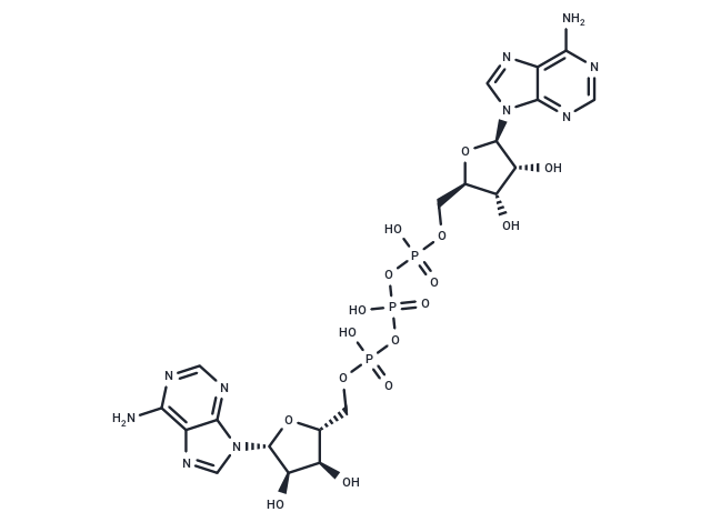 Ap3A