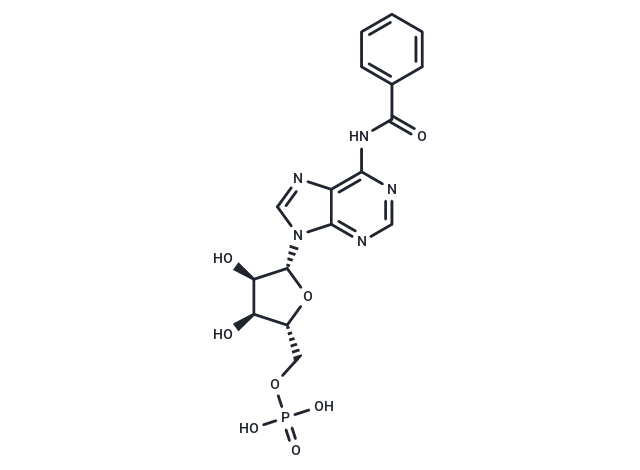 6-Bnz-5'-AMP