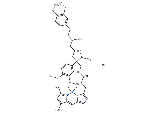 BODIPY FL Verapamil hydrochloride