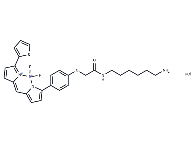 BDP TR amine hydrochloride