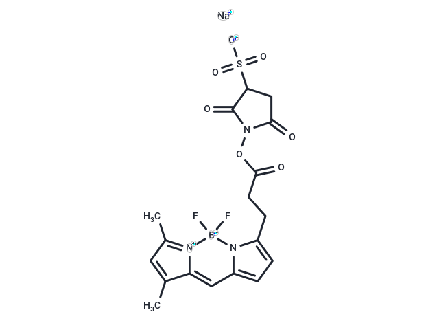 BODIPY FL SSE