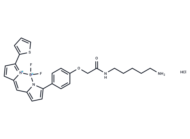 BODIPY TR Cadaverine