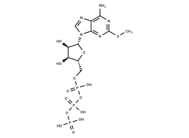 2-MeS-ATP