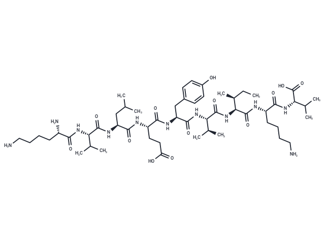 MAGE-A1-derived peptide