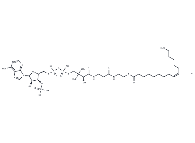 Palmitoleoyl-CoA lithium