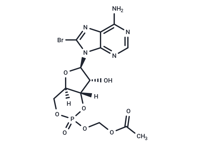 8-Br-cAMP-AM
