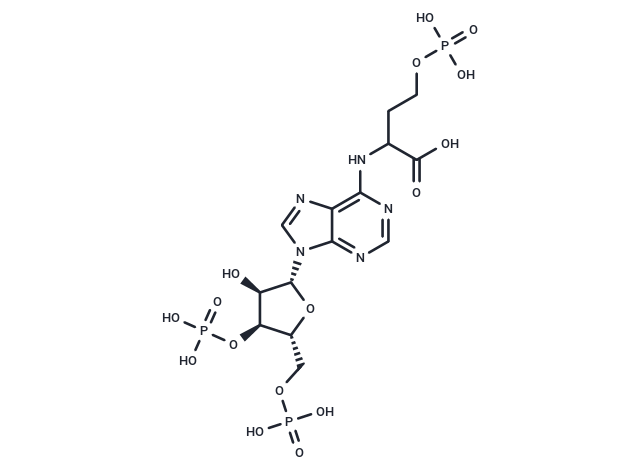 Adenosine phosphonobutyric, 2'(3'), 5'-diposphate