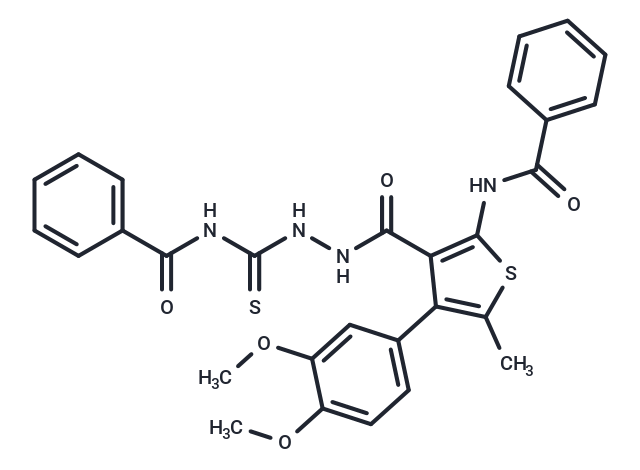 SIC-19