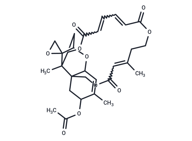 8-Acetylverrucarin L