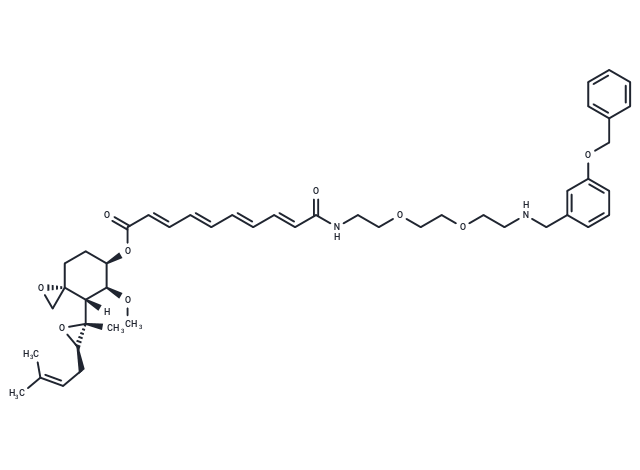 Fumagilin-105