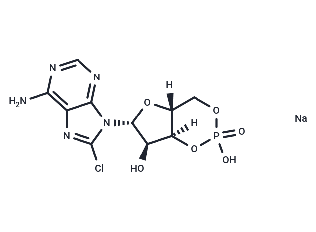 8-Chloro-cAMP sodium