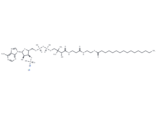 Palmitoyl CoA lithium