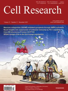 Mannose antagonizes GSDME-mediated pyroptosis through AMPK activated by metabolite GlcNAc-6P