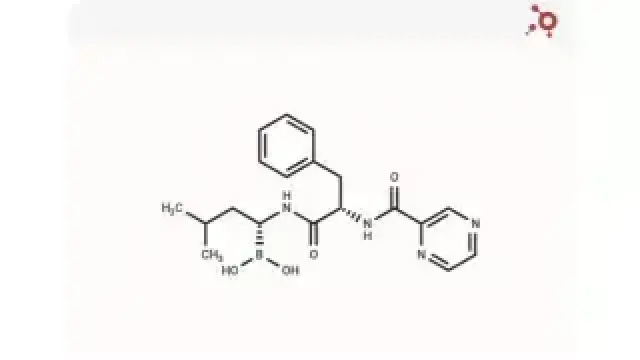 明星分子—Bortezomib：蛋白酶体抑制剂