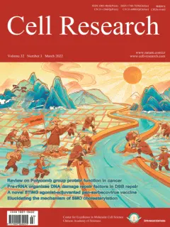 Cholesterylation of Smoothened is a calcium-accelerated autoreaction involving an intramolecular ester intermediate