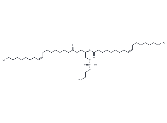 Glycerophospholipids, cephalins