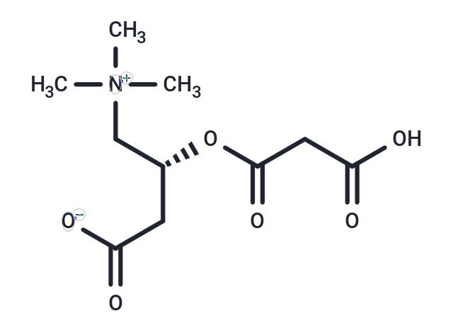 cis-Malonylcarnitine