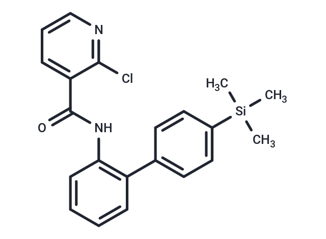 SDH-IN-18