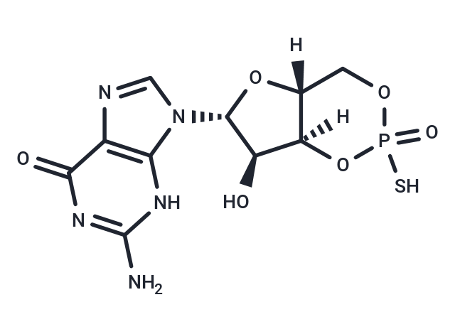 Sp-cGMPS