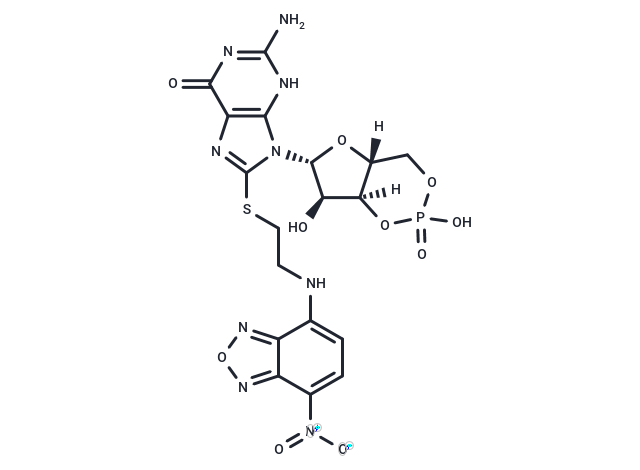 8-NBD-cGMP