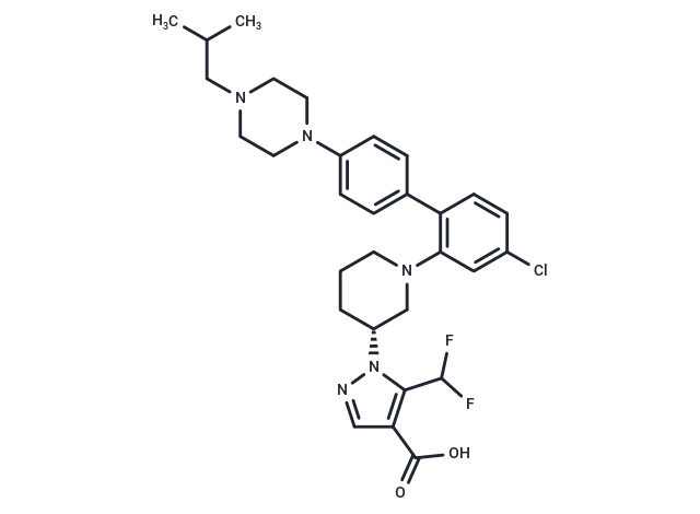 Nurandociguatum