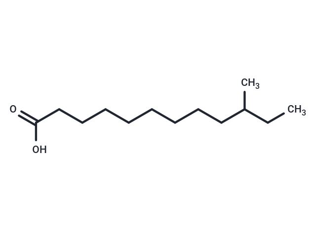 10-Methyl lauric acid