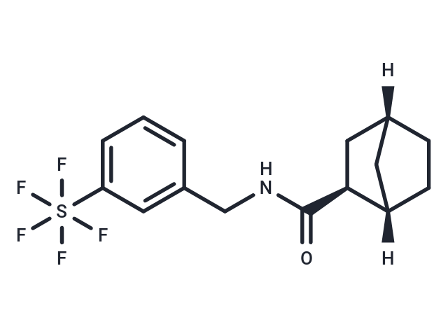 Bimokalner