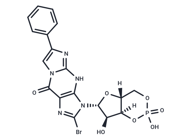 8-Br-PET-cGMP