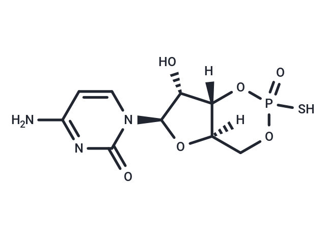 Sp-cCMPS