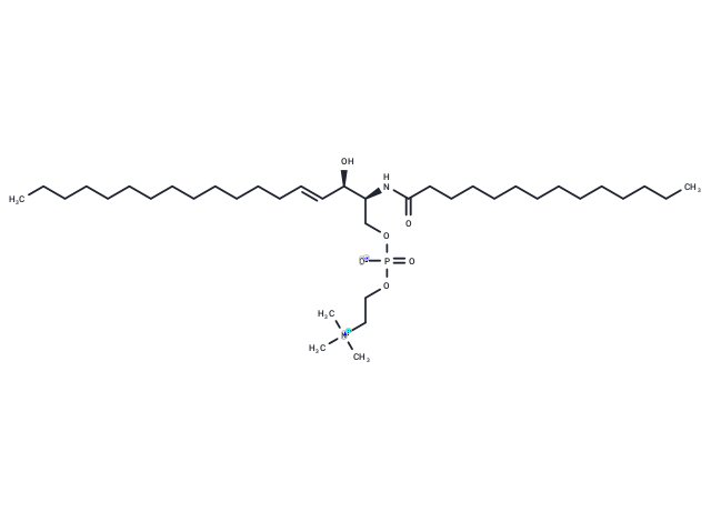 Sphingomyelin (d18:1,C14:0)
