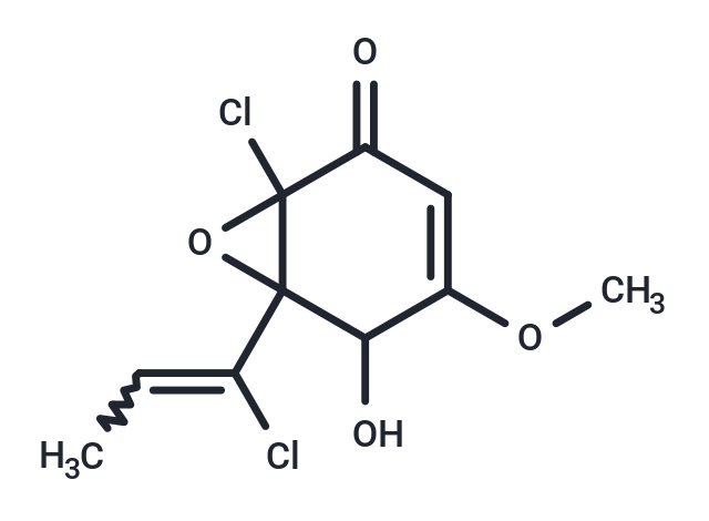 Lachnumon