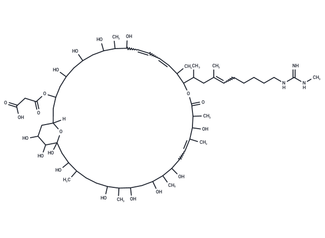 Malolactomycin C