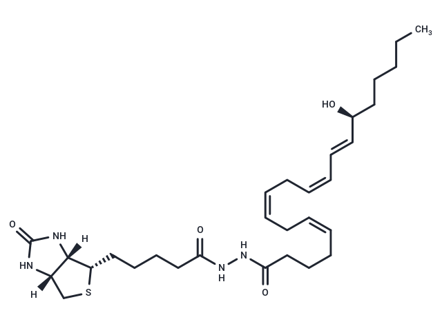 15(S)-Hete-biotin