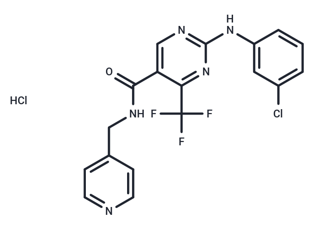 GW 833972A