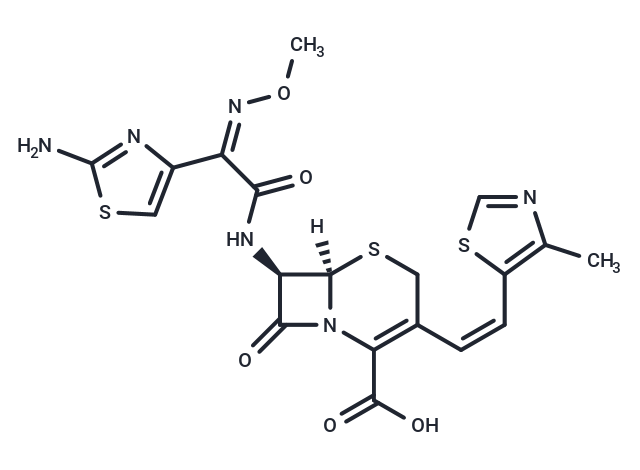 Cefditoren